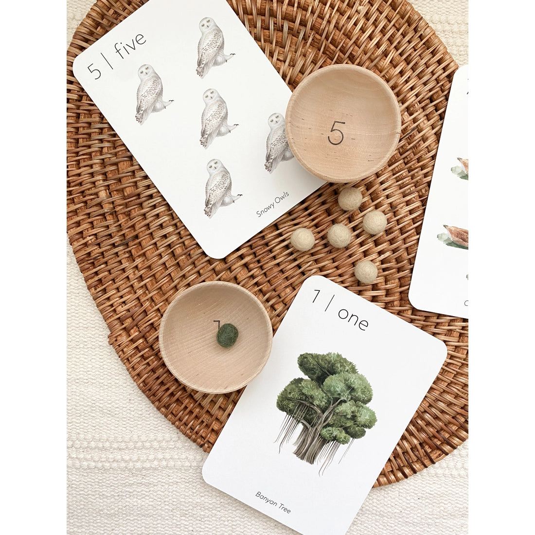Nature 123 Flash Cards